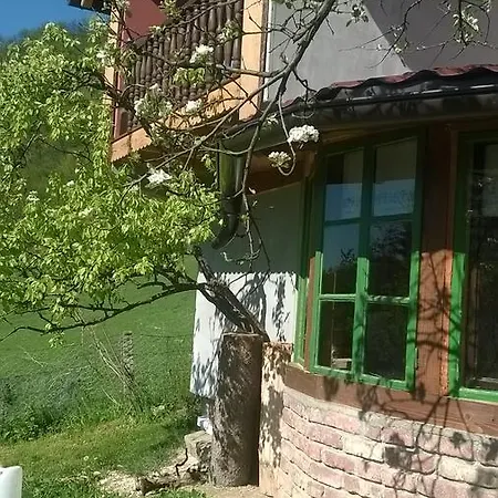 Apartman Etno *