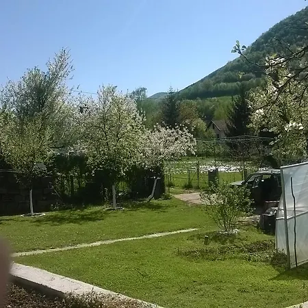 Etno